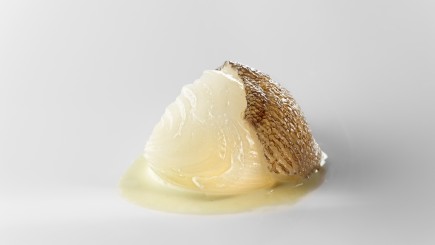 Cebolla blanca, fondo de bacalao y pimiento verde - productos 