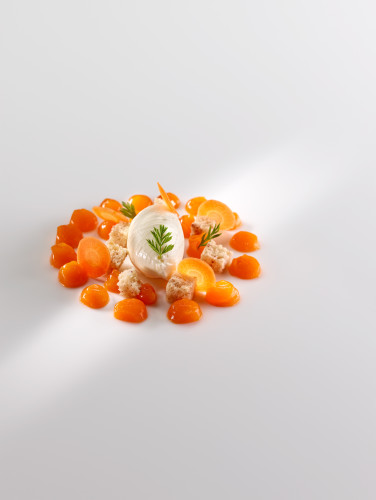 Helado-de-quinoa-zanahoria-regaliz-y-bizcocho-de-avellana