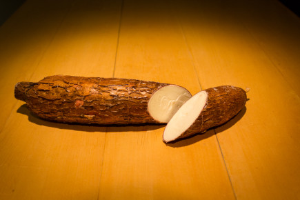 Yuca